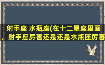 射手座 水瓶座(在十二星座里面，射手座厉害还是还是水瓶座厉害)